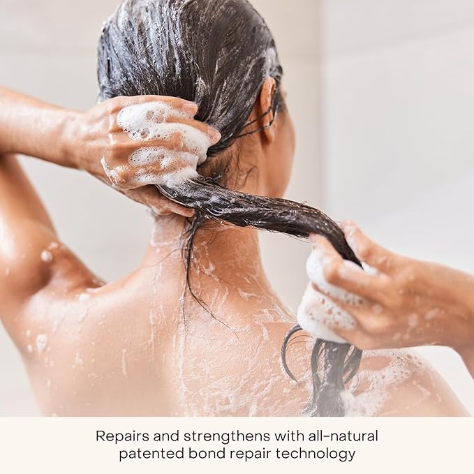Everist The Haircare Meets Skincare Set, Includes Shampoo & Deep Conditioner Concentrates, Strengthens & Repairs Hair, Hydrates & Soothes Scalp, Plant-Based & Color-Safe, 3.4 fl oz Each, Tins