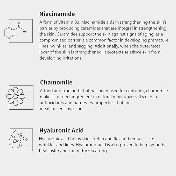 Gle Niacinamide Moisturizing Cream 2 fl oz, Face Moisturizer for Acne-Prone Dry Skin with Hyaluronic Acid, Ceramides, Fragrance & Paraben Free, Travel Size