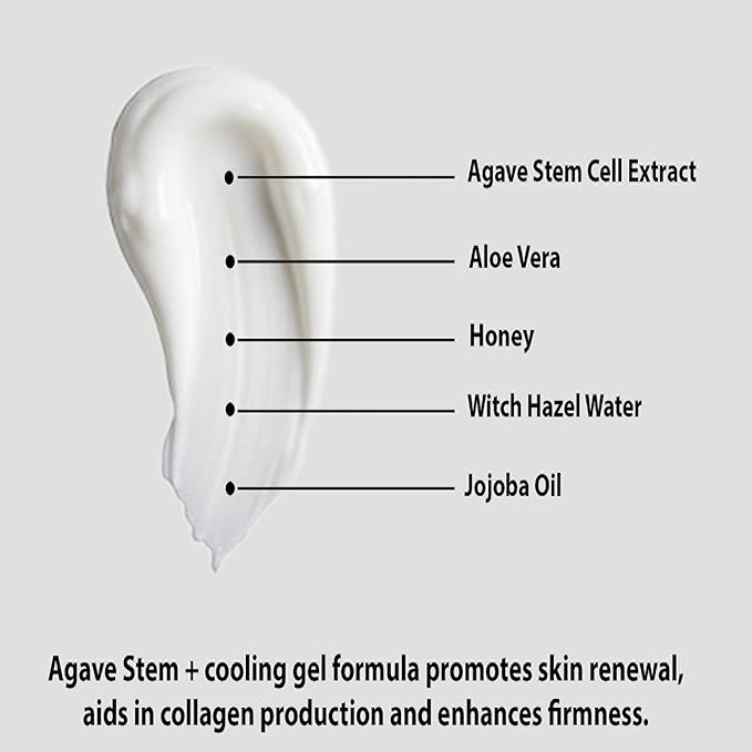 Sule Beauty AGAVE STEM + GEL For Face – Groundbreaking Skin Care That Incorporates Agave Stem Cell Extract to Hydrate, Protect & Rejuvinate – Eliminates Fine Lines and Wrinkles – 1.7 Fl Oz