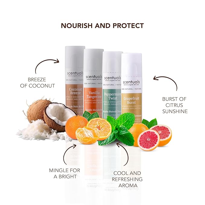 Lip Balm Set of 4, Made with Shea Butter, Cocoa Butter, Avocado & Jojoba oil, Beeswax, Moisturizing Lip Care & Hydration, Cruelty Free, Natural Lip Conditioner 4 psc