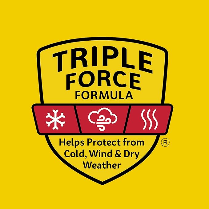 Carmex Classic Medicated Lip Balm Pack,