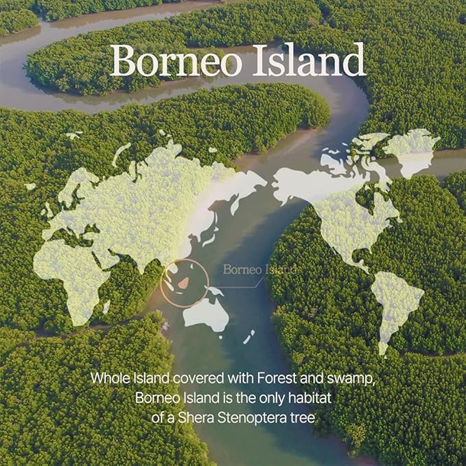 mixsoon Vegan Melting Lip Balm (Dry