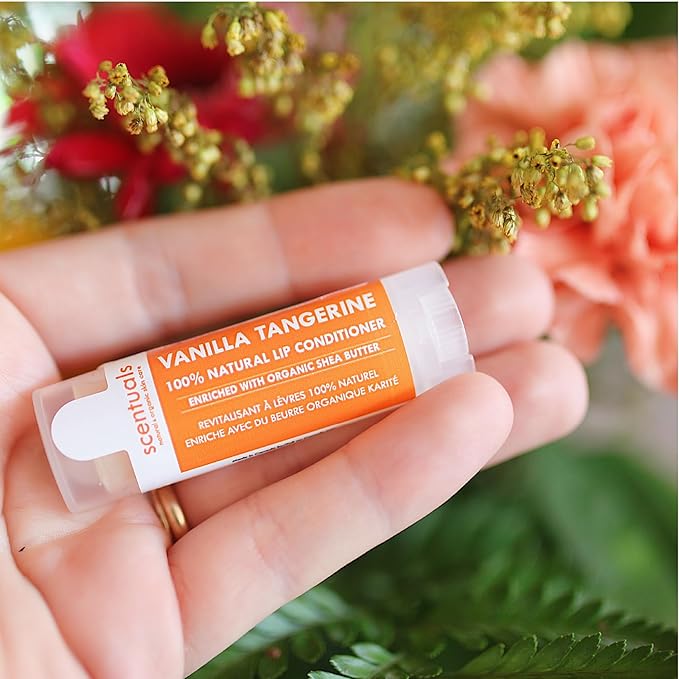 Lip Balm Vanilla Tangerine Set of Natural
