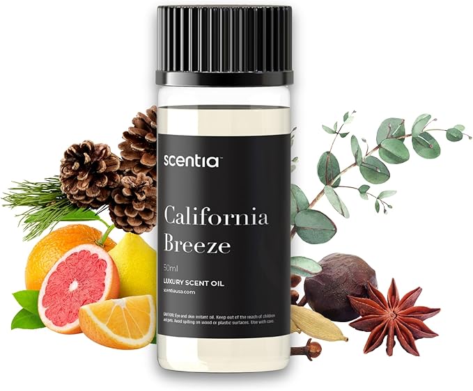Scentia Luxury Diffuser Oil Inspired by The Delano Beach Club Hotel Scent - 50 mL 1.69 fl oz - Fragrance Oil Blend Orange, Green Tea for Aromatherapy Diffusers - California Breeze