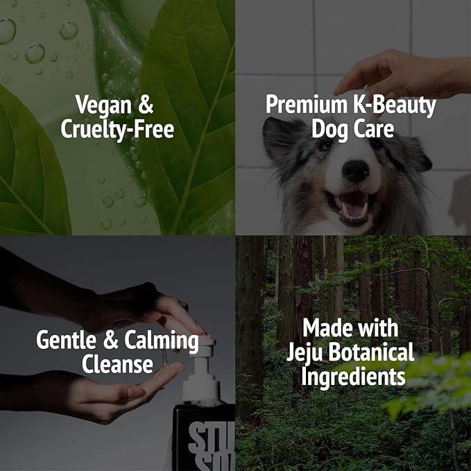 Vegan Dog Shampoo Premium K-Beauty Inspired Gentle Dog Shampoo for Sensitive Skin with Green Tea, Camellia Oil & Centella Asiatica, Elegantly Scented, Natural Pet Wash (Silent Grove)