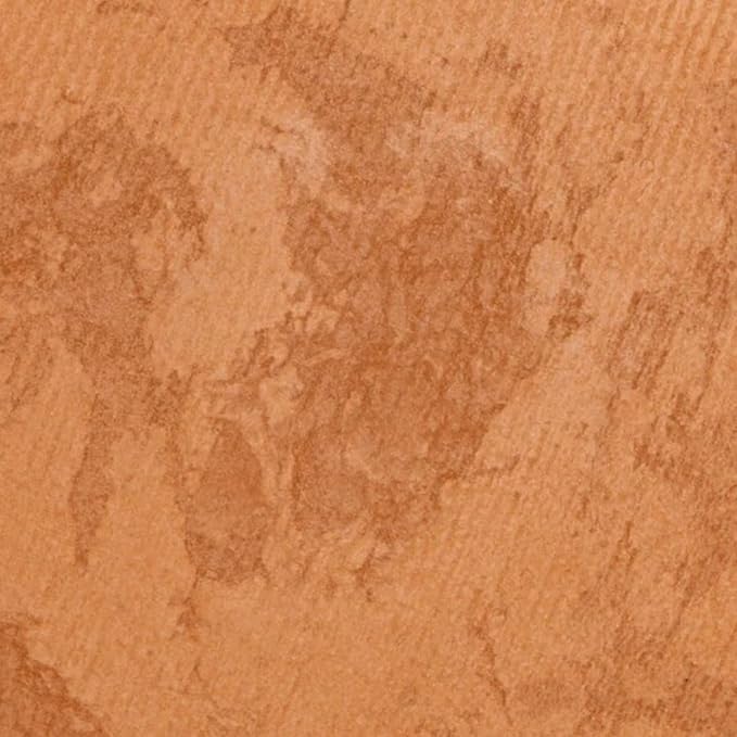 Antonym Cosmetics Baked Foundation Face Powder Makeup Wrinkle 3. (Dark) 9 Oz