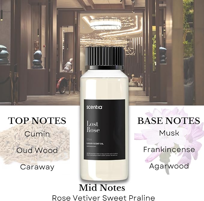 Scentia Premium Fragrance Oil Inspired by Fairmont Hotel Scent - 120 mL 4.06 fl oz - Refill Diffuser Oil Blend Rose, Oud Wood & Clove Notes for Aromatherapy Diffusers - Lost Rose, Thanksgiving Gift