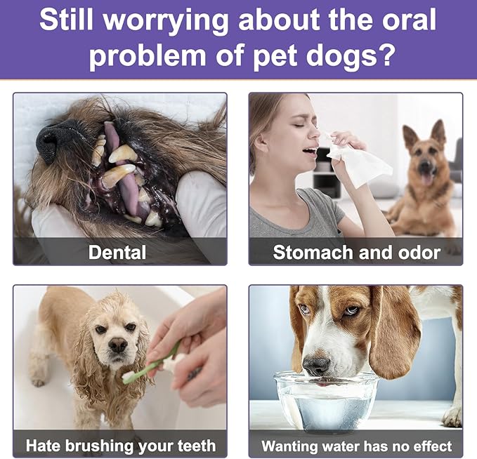 Dog Dental Powder, Dog Breath Freshener, Dog Teeth Cleaning, Plaque & Bad Breath Off, Teeth Cleaning Made Easy, Green Tea Flavor