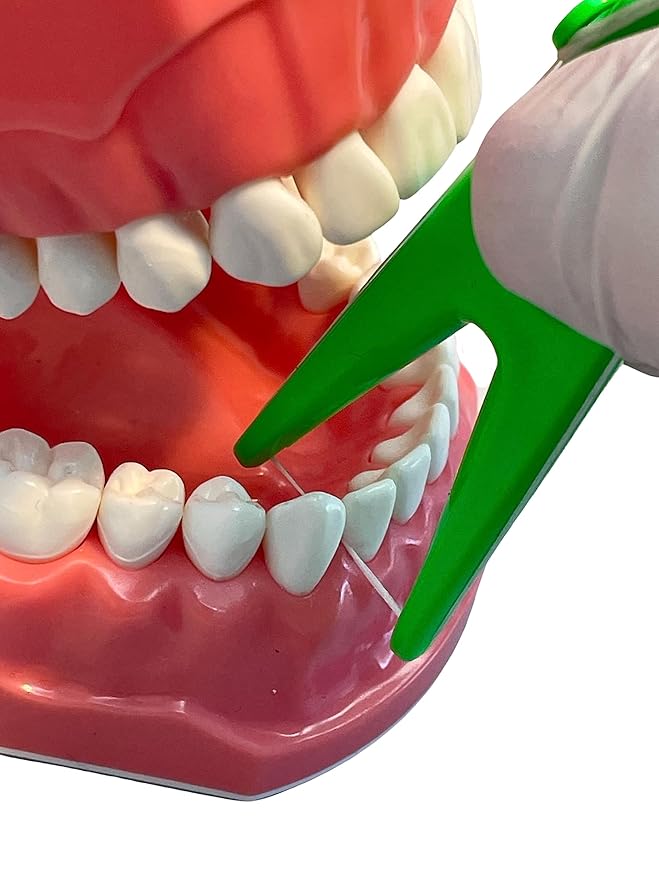 Dental Floss Holder (Blue, Yellow, Green)