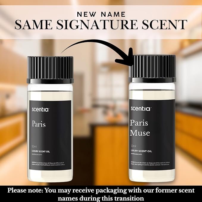 Scentia Essential Oil Blend Inspired by The Hotel Costes Paris Scent - 50 mL 1.69 fl oz - Fragrance Oil Blend of Rose, Clove & Sandalwood for Aromatherapy Diffuser & Humidifiers -Paris Muse