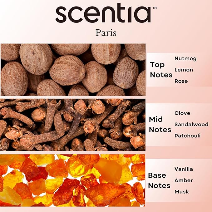 Scentia Diffuser Oil Inspired by The Hotel Costes Paris - 20 mL 0.67 fl oz - Fragrance Oil Blend Rose, Clove & Sandalwood for Aromatherapy Diffuser & Humidifiers - Paris, Thanksgiving Gift