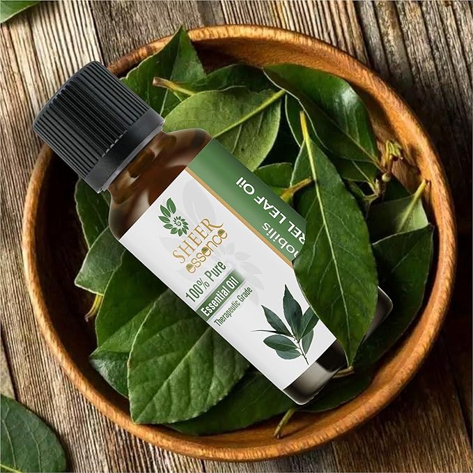 Bay Laurel Leaf Oil- (Laurus Nobilis)- Essential Oil 100% Pure Natural Undiluted Uncut Therapeutic Grade Oil 3.38 Fl.Oz.