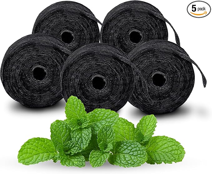 Xlent Expandable Dental Floss Treated with Activated Charcoal, Xylitol, Natural Plant Based Wax, Refreshing Mint Flavor - Pack of 5 (Refills Only)