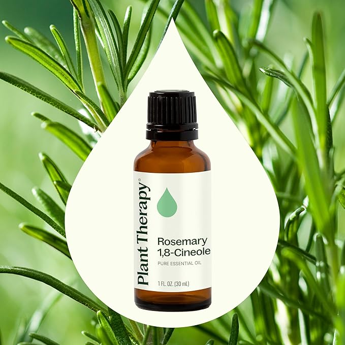 Plant Therapy Rosemary Essential Oil for Hair Growth, 100% Pure, Undiluted, Natural Aromatherapy for Diffuser & Rosemary Oil for Hair & Scalp, Therapeutic Grade 30 mL (1 oz)