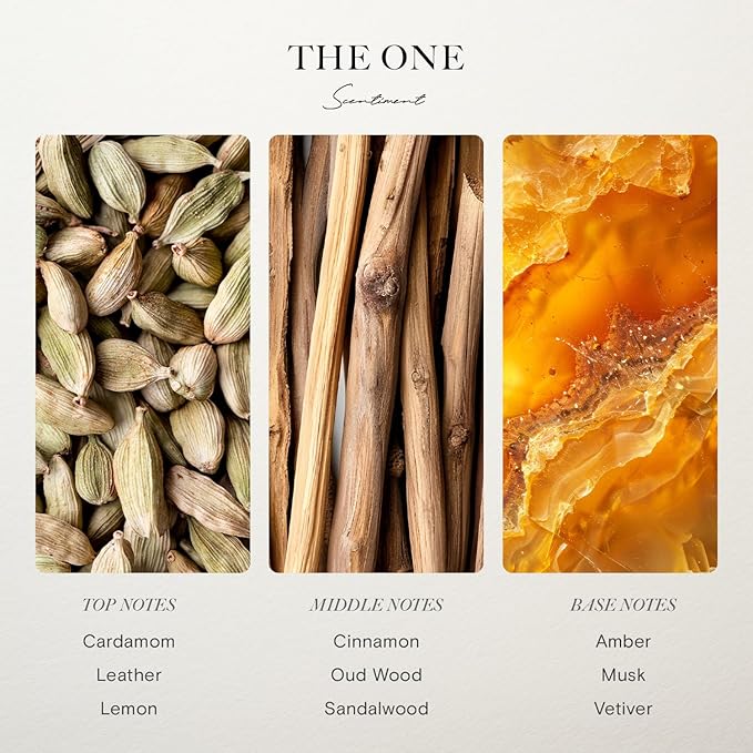 Scentiment Hotel Diffuser Oil Discovery Kit | Inspired by Elite Five Star & Luxury Hotel Scents | Aromatherapy Oils with Notes of Cardamom, Tuscan Leather, and Sandalwood (20ml, Top 5 Scents)