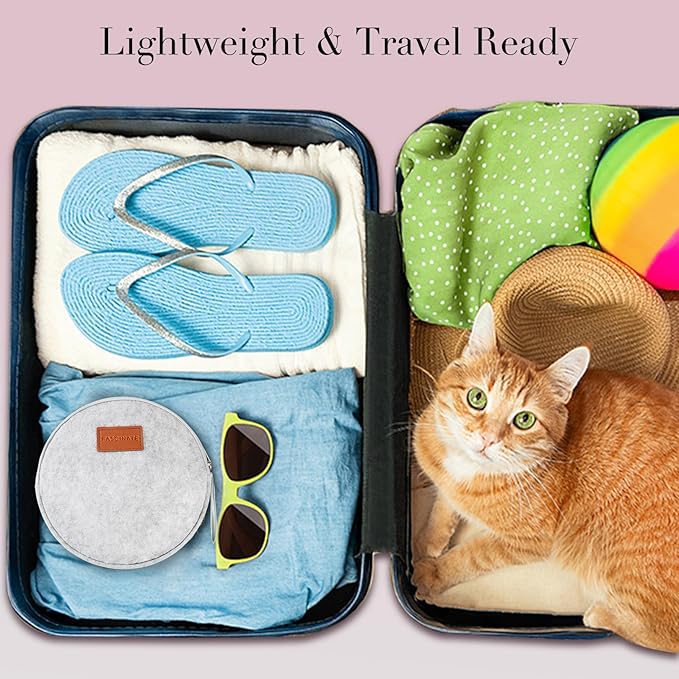 Magnifying Mirror with Light 10X/1X, Double Sided travel mirror with light, Rechargeable makeup mirror with 3 color setting Adjustable stand Lighted mirror Vanity Portable Desk Cosmetic Mirror