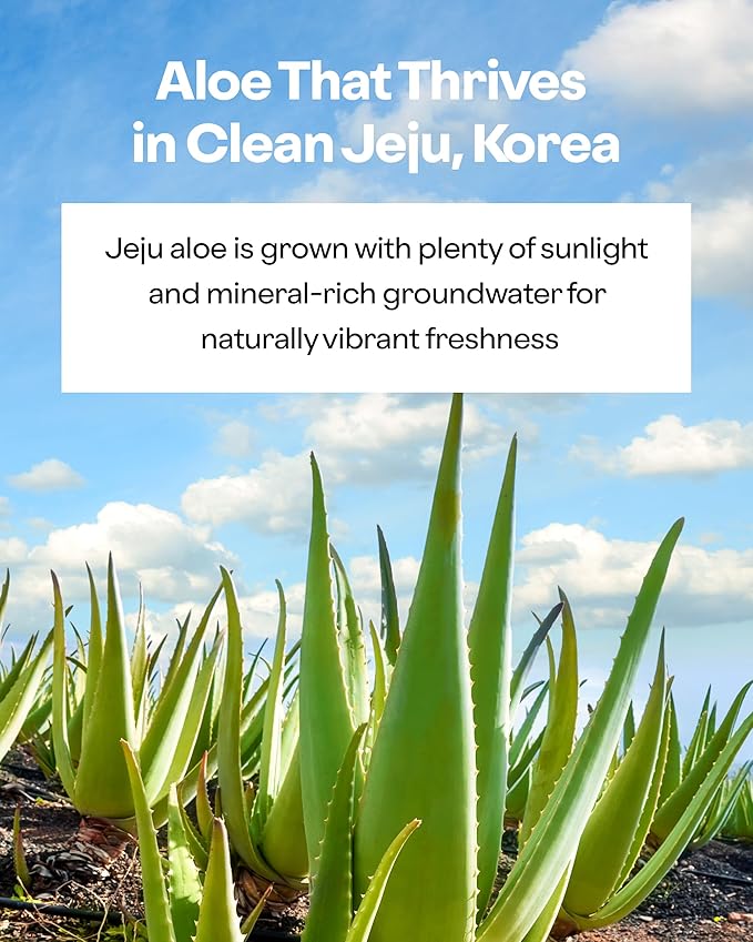 HOLIKA HOLIKA Aloe Fresh Moisture Soothing Gel 2 Pack - Face Body Moisturizer - Fermented Aloe and Cica - Hydrating Cooling Hypoallergenic Korean Skincare for Sensitive Sunburned Skin, 8.45oz