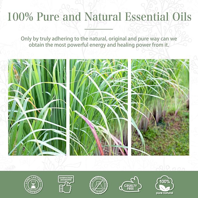 Lemongrass Essential Oil 1.01fl.oz/30ml, PHATOIL Lemongrass Oils Long Lasting Scents for Aromatherapy, Diffuser, DIY Soap and Candle Making