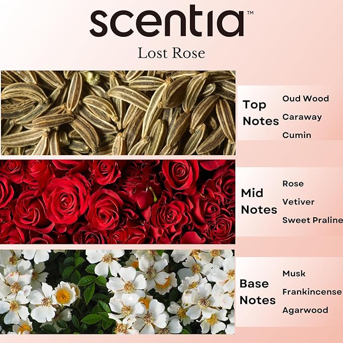 Scentia Premium Essential Oil Blend Inspired by Fairmont Hotel Scent - 20 mL 0.67 fl oz - Diffuser Oil Blend Rose, Oud Wood & Clove Notes for Aromatherapy Diffusers Humidifiers - Lost Rose