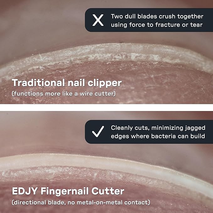 EDJY Fingernail Cutter - Precision Stainless Steel Nail Cutter for Fingernails | Sharp Blade, Ergonomic Design, Durable & Rust-Resistant | Ideal for Men and Women | Lilac