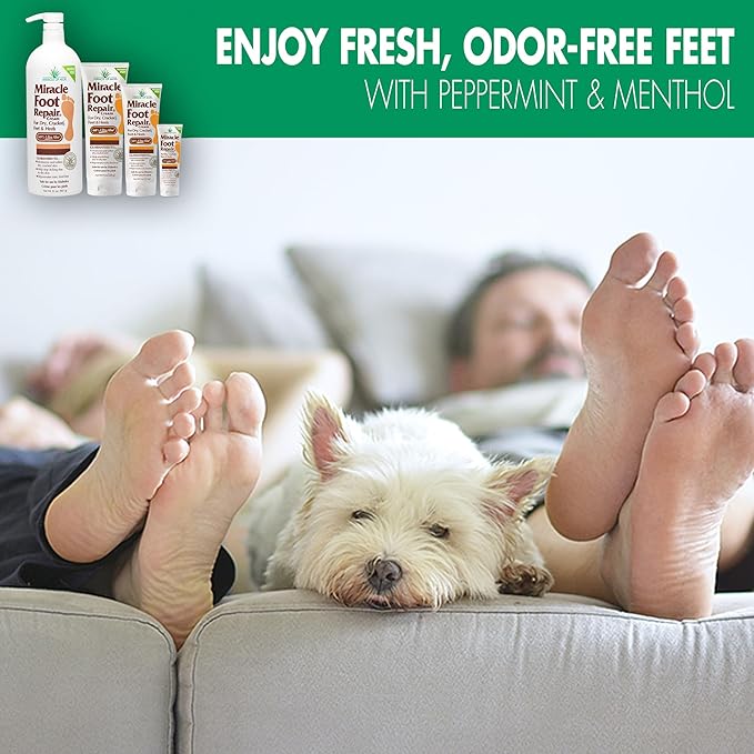 Miracle Foot Repair Cream (1 oz / 12 Pack) Repairs Dry Cracked Heels and Feet, 60% Pure Ultra Aloe Moisturizes, Softens, and Repairs