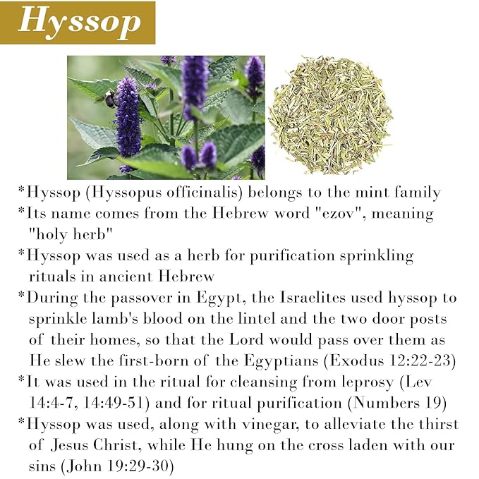 BIBLE N Beautyoils Cleanse Me With Hyssop Natural Hair and Body Wash, Organic Hyssop Infused Shampoo and Body Wash for Nourishing and Refreshing Hair & Body Cleansing