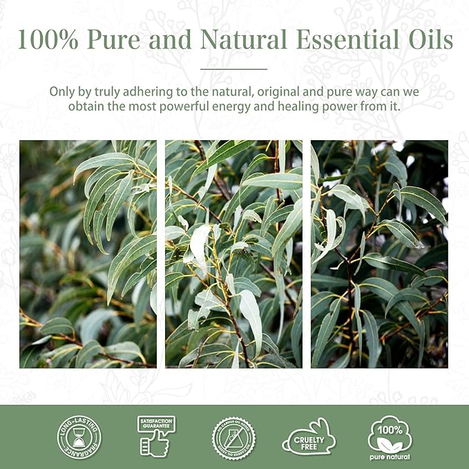 PHATOIL 100ML Eucalyptus Essential Oil, Eucalyptus Oil Essential Oils for Diffusers for Home, Soap Candle Making, Huge 3.38fl.oz Bottle