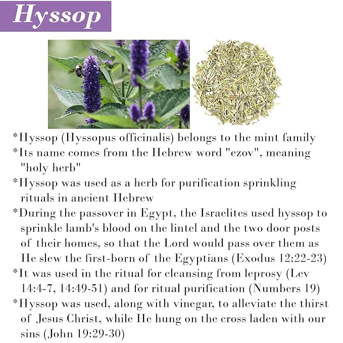 BIBLE N Beautyoils Cleanse Me With Hyssop Natural Hair and Body Wash, Organic Hyssop Infused Shampoo and Body Wash for Nourishing and Refreshing Hair & Body Cleansing