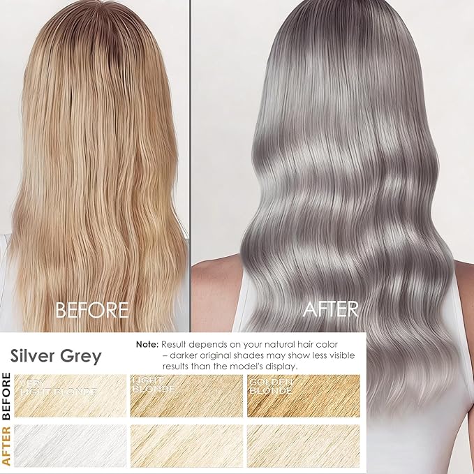 Hair Dye Shampoo 3 in 1 for Women & Men, Rich Silver Gray Root-to-Tip Coloring with Natural Extracts, 3-4 Weeks Lasting Smooth Shiny Finish, Easy Home Use for All Hair Types 16.9 fl oz (Silver Gray)
