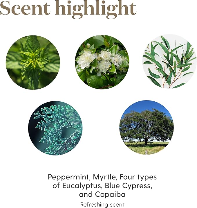 Young Living Breathe Again Essential Oil Roll On - 10ml for Easy Relief - Combines Copaiba, Myrtle, and Peppermint with Four Different Types of Eucalyptus