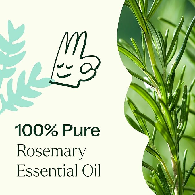 Plant Therapy Rosemary Essential Oil for Hair Growth, 100% Pure, Undiluted, Natural Aromatherapy for Diffuser & Rosemary Oil for Hair & Scalp, Therapeutic Grade 10 mL (1/3 oz)