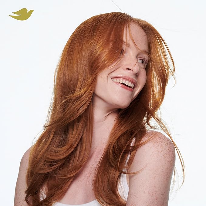 Dove Shampoo 4 count Intensive Repair for Damaged Hair with Bio-Protein Care Technology and Amino Serum 12 Fl Oz