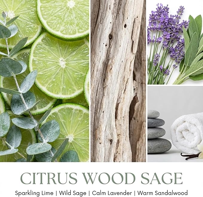 HomeLights Citrus Wood Sage Scented Candles | 18oz Soy Candles Eclectic Mixed Styles 4-Wick Large Candle Jars | Ideal Candle Gifts for Events, Home Decor Stress, Relief & Relaxation