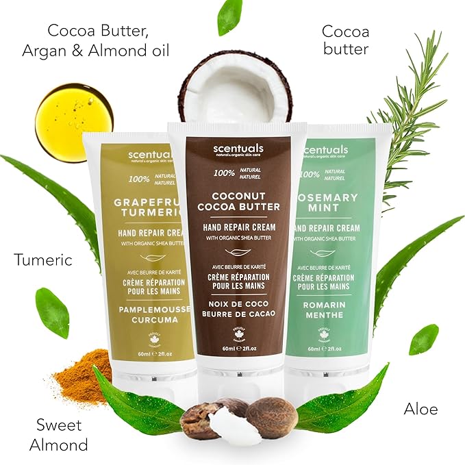 Scentuals Hand Cream Set of 3, with Shea Butter, Cocoa Butter, Argan & Almond oil, Moisturizing Dry Hands, (Grapefruit Turmeric + Rosemary Mint + Coconut Cocoa Butter) 60 ml (2 fl.oz.) x 3