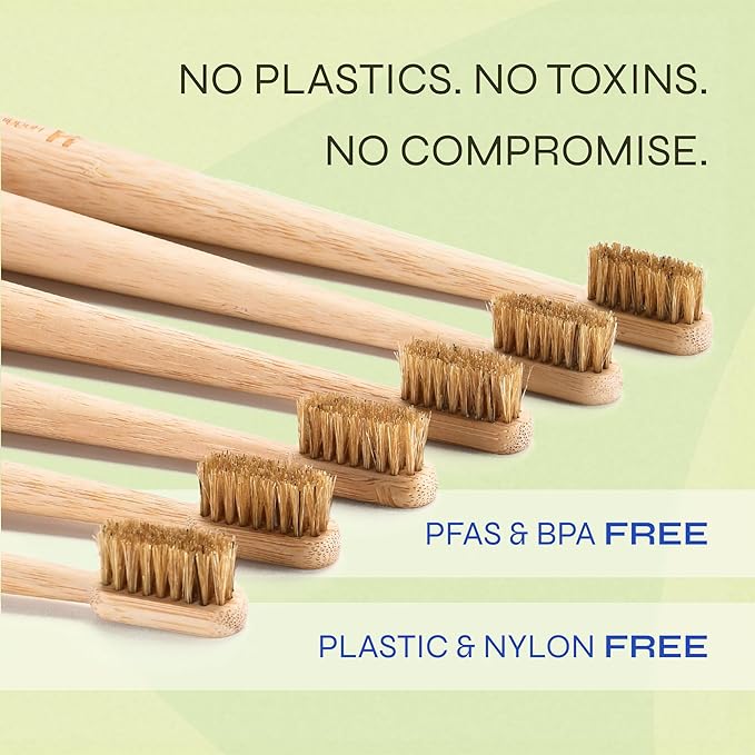 Boar Bristle Bamboo Toothbrush, Made from Natural Boar Hair Bristles, Plastic-Free (Pack of 6)