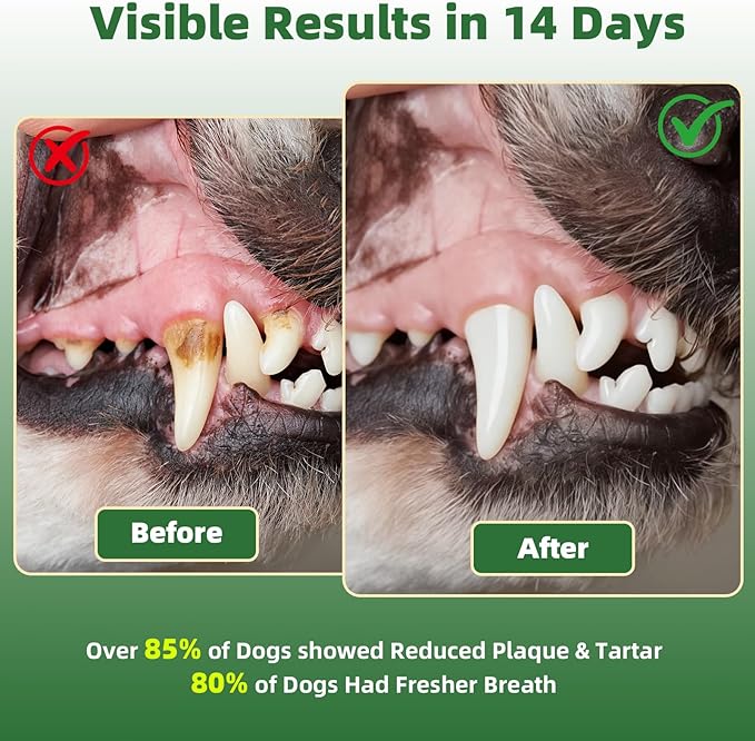 Dog Dental Powder,Dog Teeth Cleaning Powder and Cat Breath Freshener, Reduces Plaque & Bad Breath Off,Natural Herbal Blend of All Breeds -150 Grams