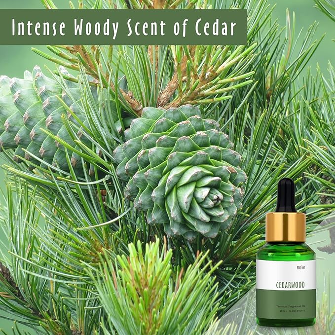 30ml Cedarwood Fragrance Oil, MitFlor Woody Essential Oil Scents for Diffuser, Large Size Premium Fragrance Oil for Soap Candle Making, Ideal for Handcraft and Diffusing