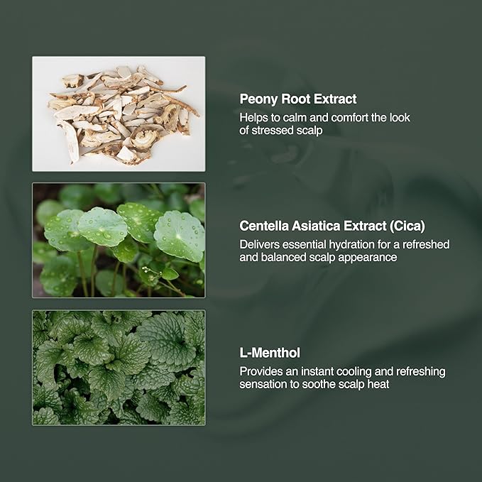 Korean Scalp Clean Solution Leave-in Hair Serum (1.01 fl oz) – Cooling & Refreshing Korean Hair Care Serum For Oily, Lightweight, Treatment, Frizz Ease Serum, Hair Repair, Anti Frizz, Hair Cream | Cooling & Refreshing, Clean Solution