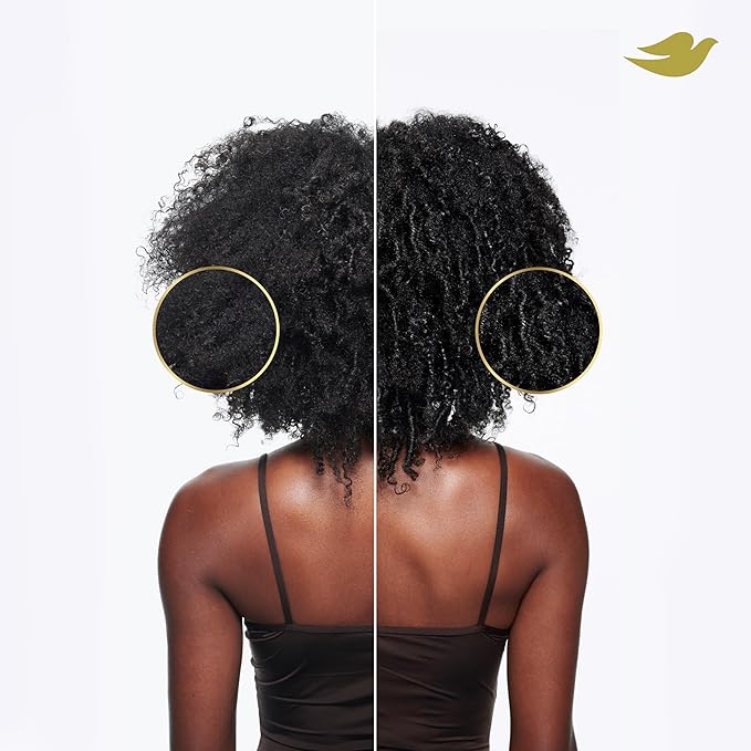 Dove Shampoo, Conditioner, & Mask Amino Curl Regimen Pack 4 Pk for Curly, Coily Hair with Bio-Protein Care Technology + Amino & Jojoba Oil