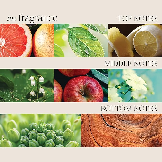 L'ANZA Healing Volume Hair Thickening Shampoo & Conditioner Set, Volumizing, Boosts Body, Lightweight Cleanse, Adds Fullness, Color Safe, Anti-Frizz Anti-Humidity, Sulfate Free, Hair Care Kit