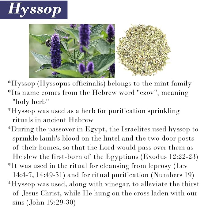 BIBLE N Beautyoils Cleanse Me With Hyssop Natural Hair and Body Wash, Organic Hyssop Infused Shampoo and Body Wash for Nourishing and Refreshing Hair & Body Cleansing