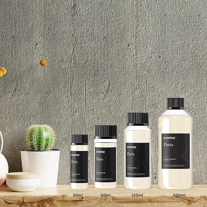Scentia Essential Oil Blend Inspired by The Hotel Costes Paris Scent - 50 mL 1.69 fl oz - Fragrance Oil Blend of Rose, Clove & Sandalwood for Aromatherapy Diffuser & Humidifiers -Paris Muse
