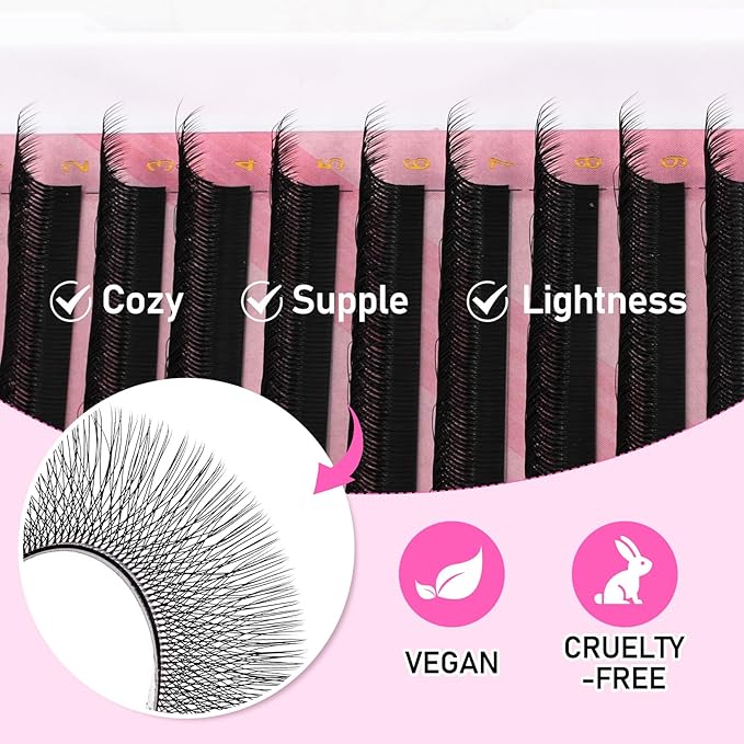 Arison Lashes Double Layers 6DW Shape Eyelash Extension Natural Soft Volume 0.07mm D Curl 11mm Premade Fans Faux Mink Matte Black 12 rows