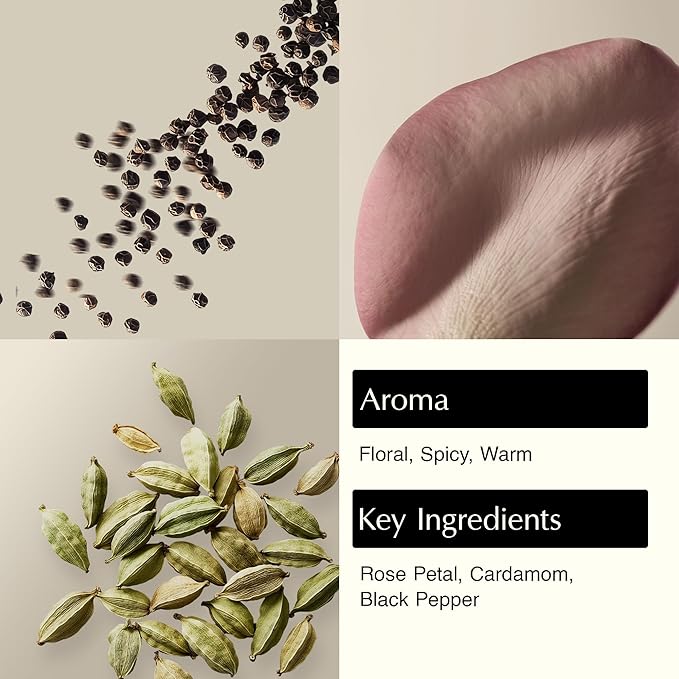 Aesop A Rose By Any Other Name Body Cleanser | Gentle Botanical Cleanser with Rose Petal Oil & Plant Extracts | 500 mL / 16.9 oz