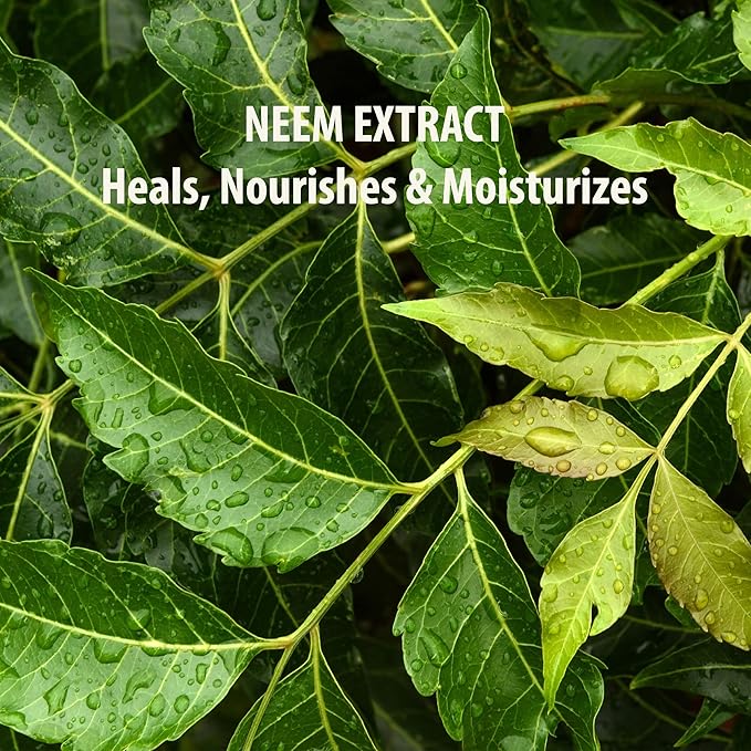 SUNDARI Neem Eye Cream, 0.5 Fl Oz, Lightweight Under Eye Cream, Reduces Puffiness, Dark Circles & Firms Delicate Skin, Nourishing and Soothing