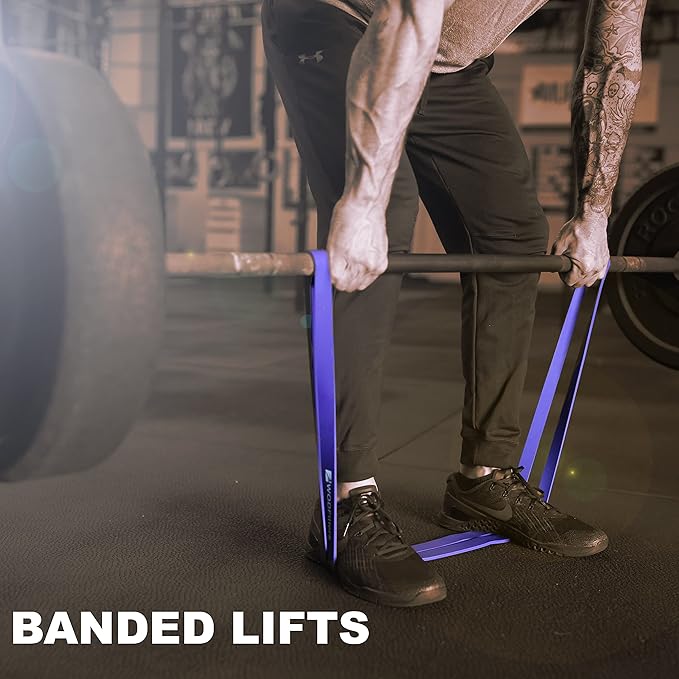WODFitters Pro Series Pull-Up Assistance Bands – Premium Resistance Loop Bands for Assisted Pull Ups, Muscle Ups, Strength Training & Mobility – Durable Bands for Functional Fitness