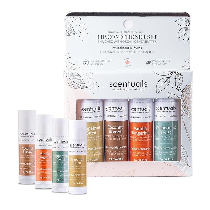 Lip Balm Set of 4, Made with Shea Butter, Cocoa Butter, Avocado & Jojoba oil, Beeswax, Moisturizing Lip Care & Hydration, Cruelty Free, Natural Lip Conditioner 4 psc