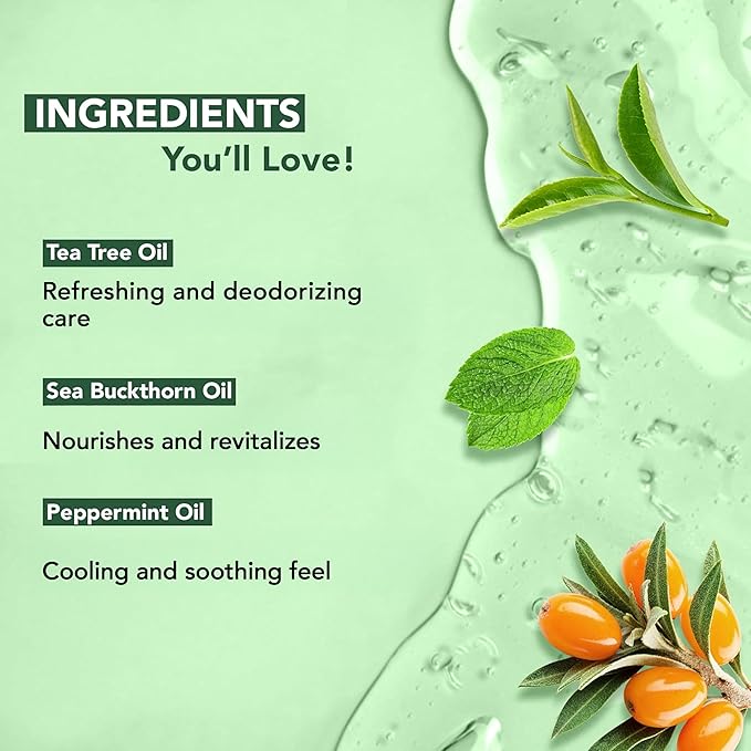 Botanic Hearth Tea Tree Body Wash -16 fl oz- All-Natural Antifungal & Odor-Control Shower Gel for Acne, Athlete’s Foot, Ringworm, Jock Itch & Healthy Skin,Sulfate & Paraben Free, for Men and Women