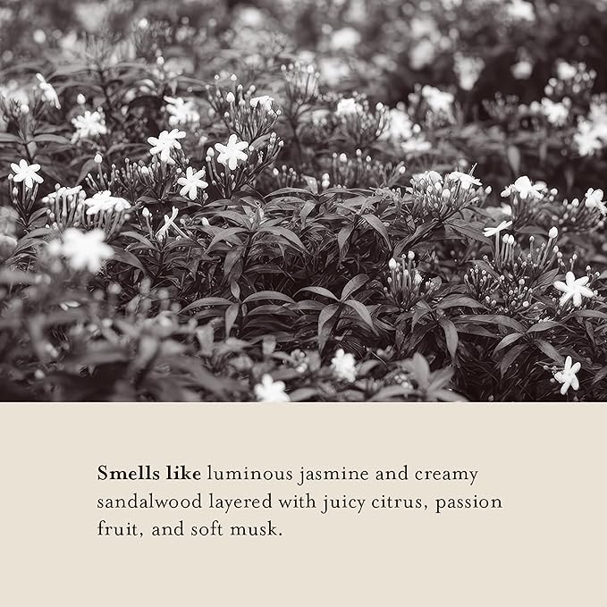 A La Maison Amber Collection Jasmine & Santal Starter Kit - Shower Oil + Body Scrub + Body Butter – Gently Exfoliates & Softens Skin – French Formula, Plant-Based