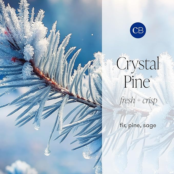 Capri Blue Glimmer Mini Tin - Crystal Pine Scented Candle with Mini Tin Candle Holder - Soy Wax Blend - Capri Blue Crystal Pine Emerald Green and Gold (3 oz)